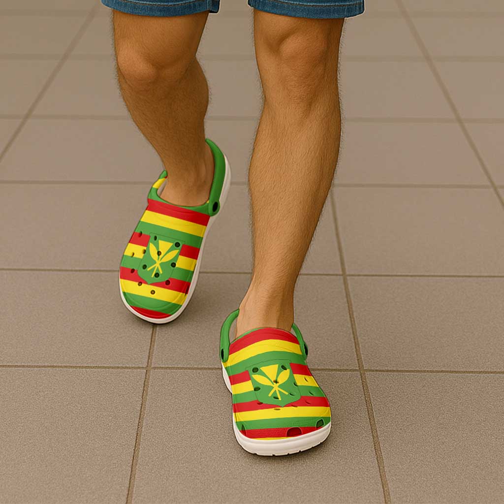 Hawaii Kanaka Maoli Clogs Shoes Heritage Palette Flag-Inspired LT01 - Polynesian Pride