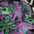 Plumeria Polynesian Pattern Back Car Seat Cover Unique Fantasy Purple Green