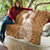 Tonga Kupesi Ngatu Quilt Vintage Brown Plumeria
