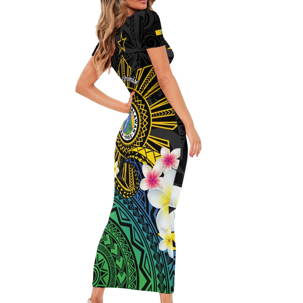 Lalawigan ng Palawan Family Matching Short Sleeve Bodycon Dress and Hawaiian Shirt Philippines Province Land of Promise LT14 - Polynesian Pride