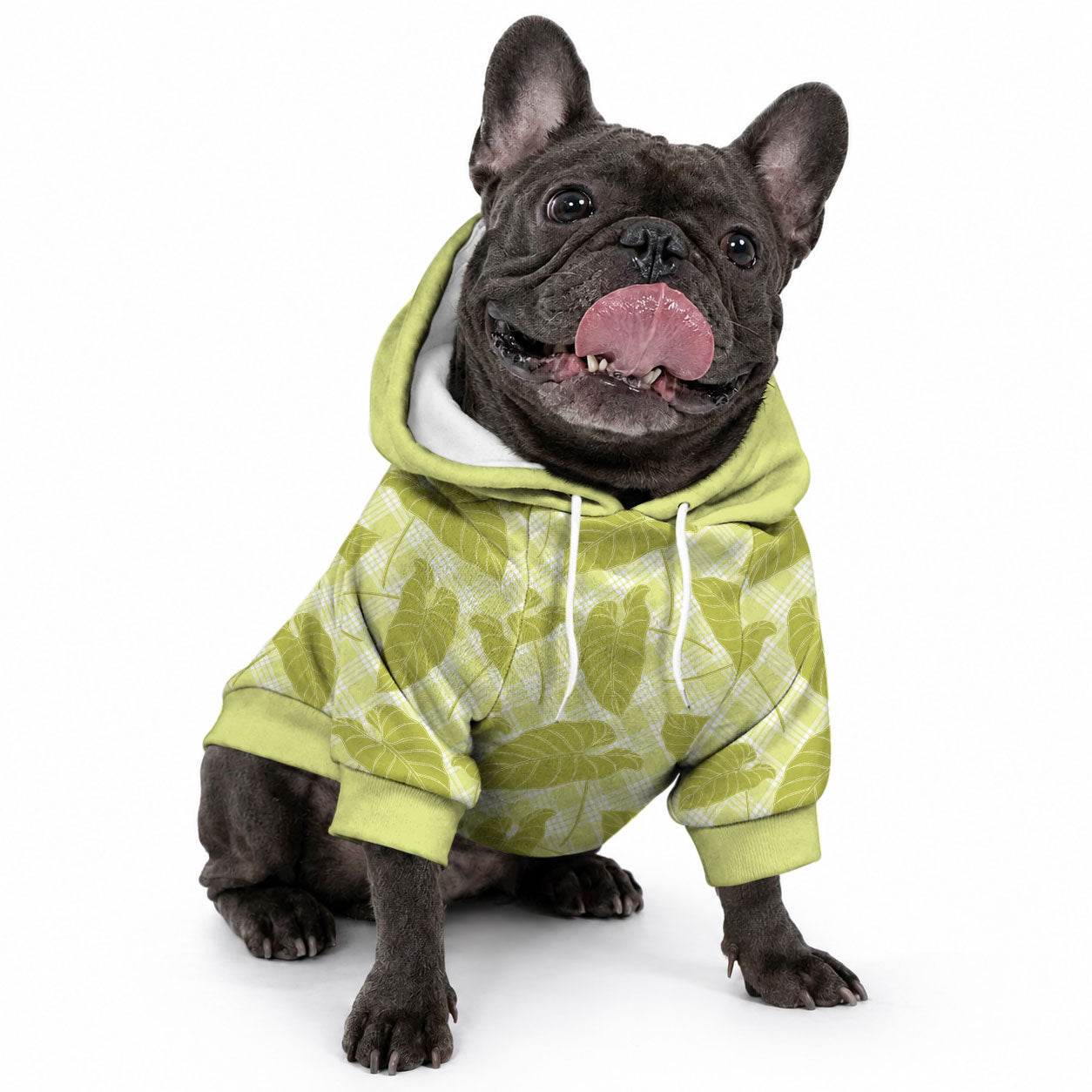 Lime Green Hawaii Kalo Palaka Motifs Pet Hoodie Hawaiian Taro Leaves Elegant Vibes