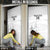 Custom New Caledonia Football Door Cover Allez Les Cagous White Version - Polynesian Pride