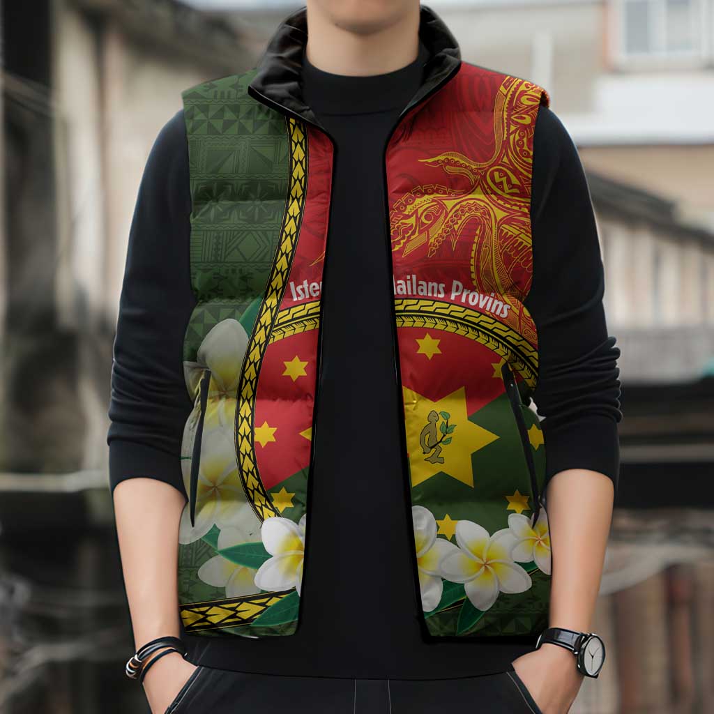 Personalised PNG Isten Hailans Provins Sleeveless Puffer Jacket Papua New Guinea Plumeria Melanesian Pattern LT14 - Polynesian Pride